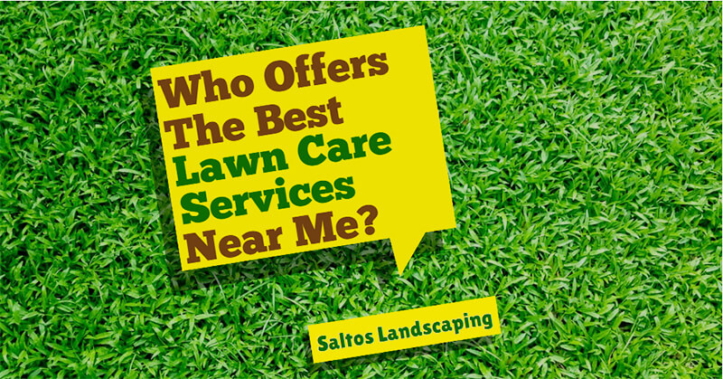 Professional Lawn Care Services Healthy Lawns In Less Time