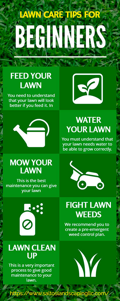 5 Lawn Care Tips for Beginners