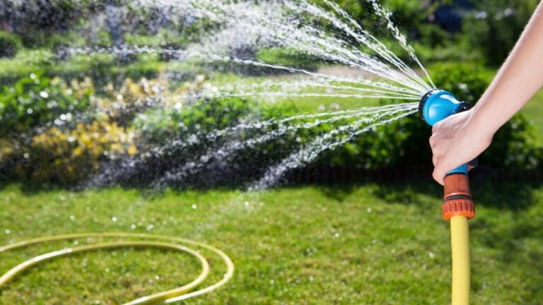 Lawn Watering Schedule: Learn How Often to Water Your Grass