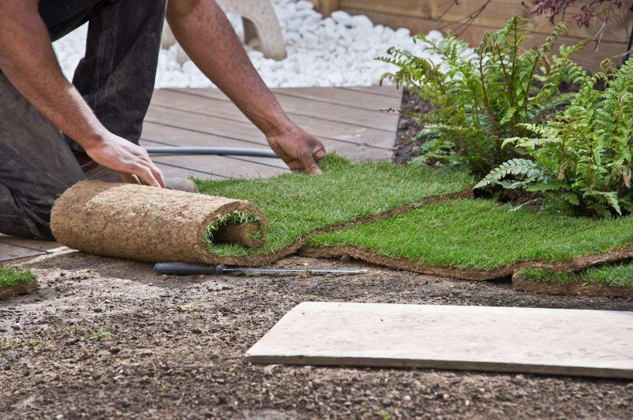 Learn How to Lay Sod by Following These Four Steps