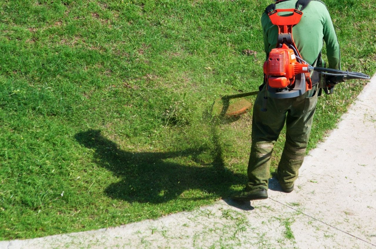 How to Mow Sod