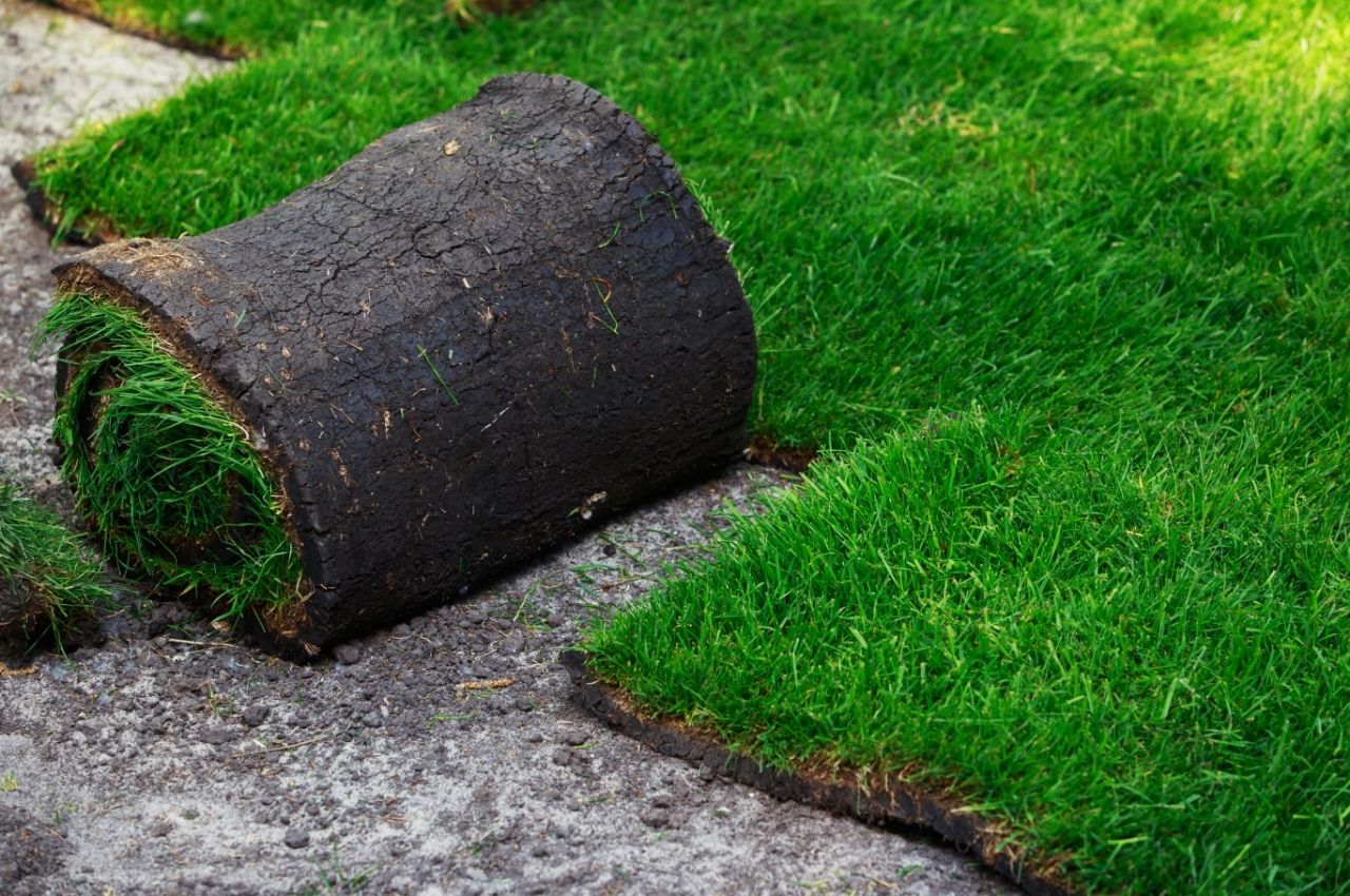 Sod Installation Guide