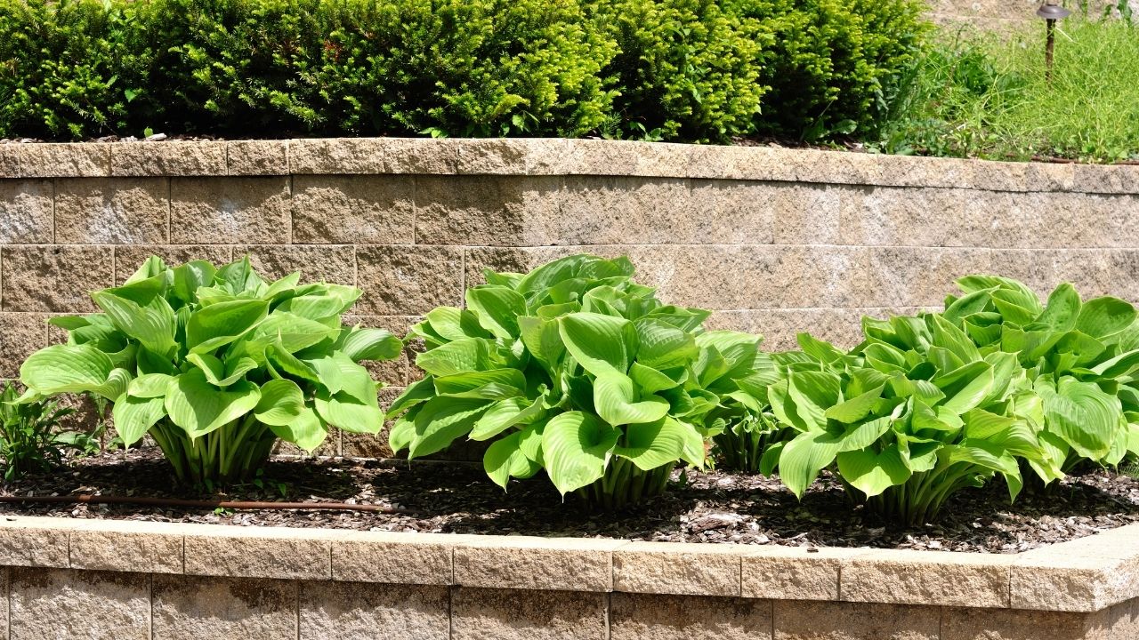 Popular Types of Retaining Walls