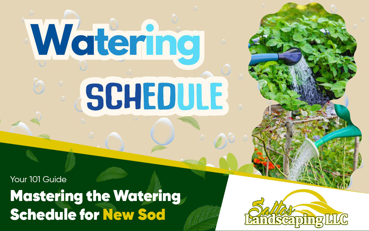 Watering Schedule for New Sod Download Our Checklist