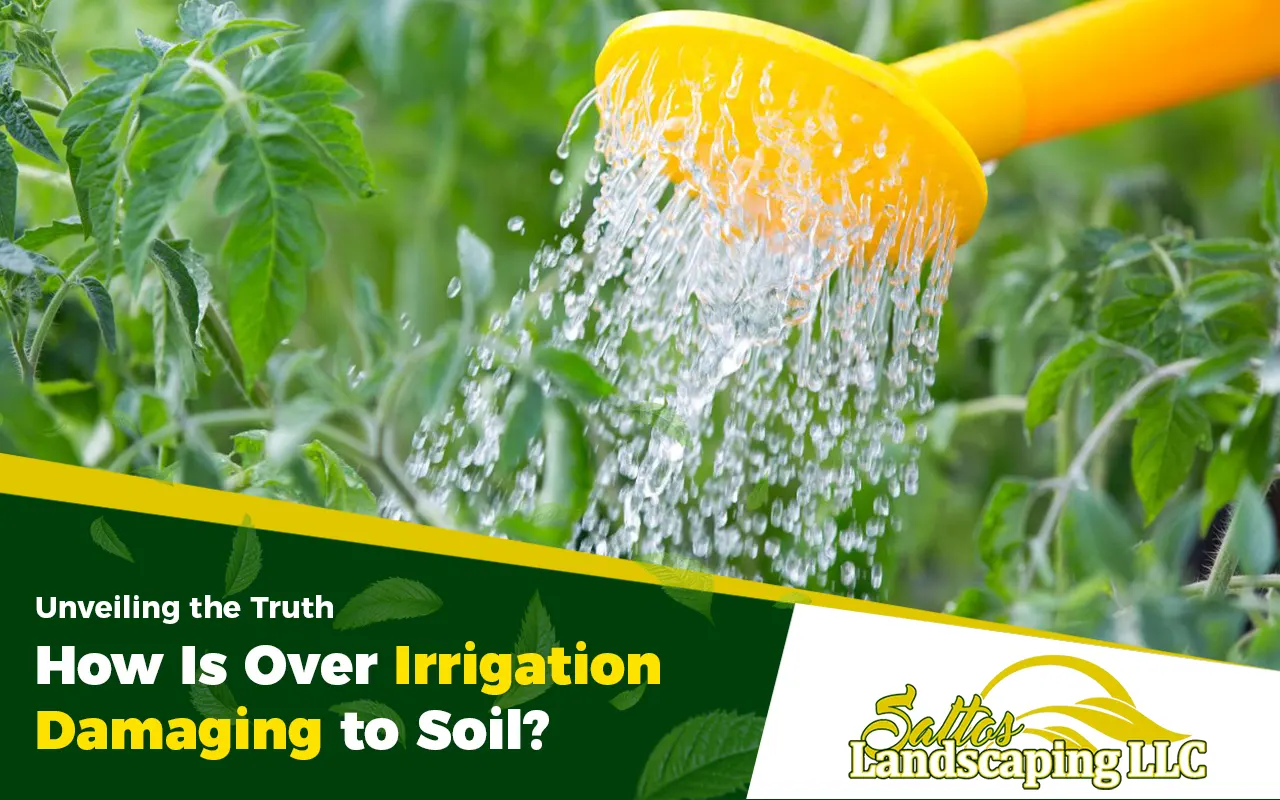 How Is Over Irrigation Damaging To Soil? Find Out Now