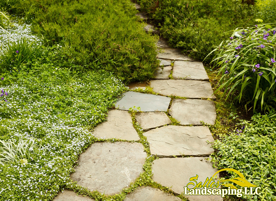 Stone path garden walkway with natural landscaping.