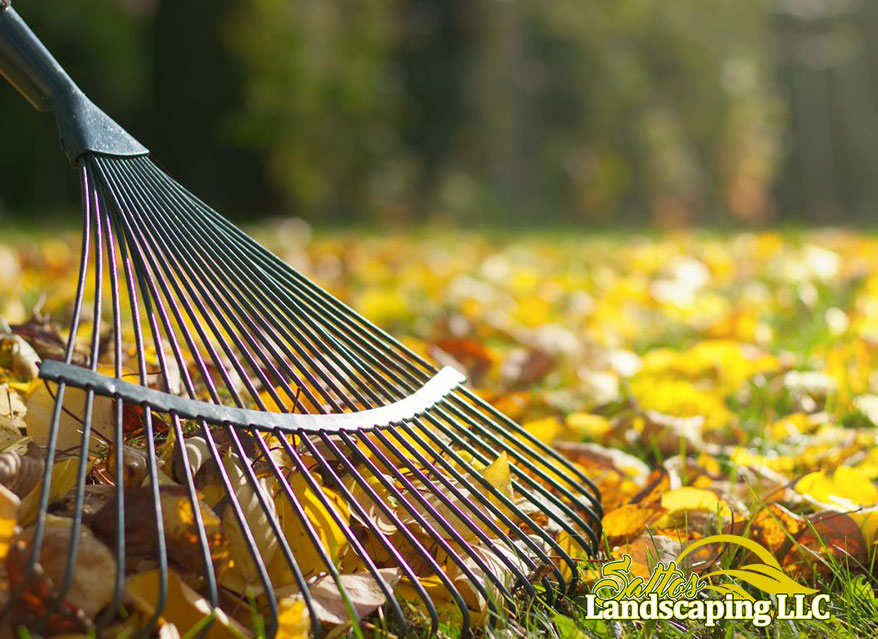 Spring lawn care in Renton for healthy grass growth.