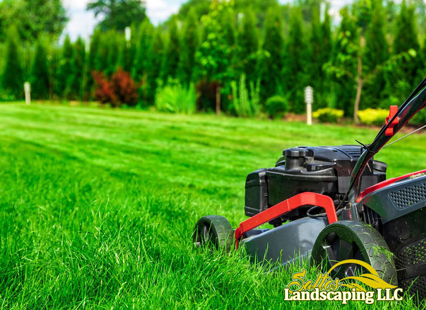 Summer lawn care advice for Renton to prevent heat stress.