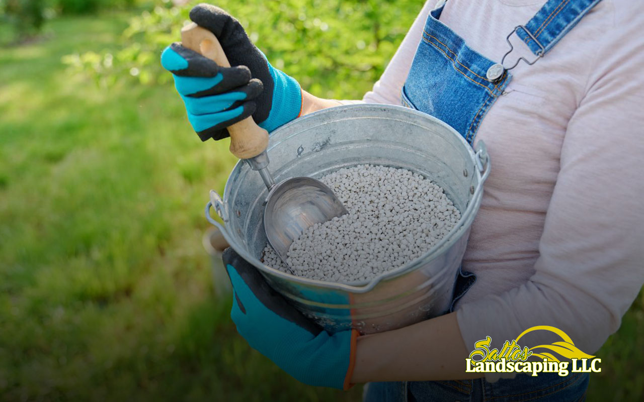  Fertilizing new sod in Renton, WA – Tips for strong root growth and a lush green lawn.