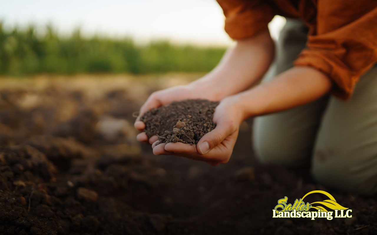 How to prepare soil for sod in Renton – Essential steps for a healthy lawn.